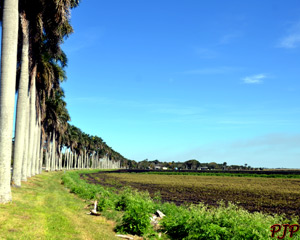 441 East Lake Okeechobee &nbsp;|&nbsp; February, 2015