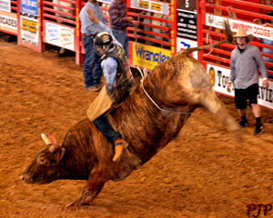 Rodeo Bull Riding &nbsp;|&nbsp; March, 2015