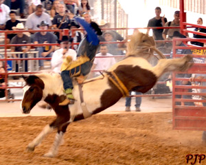 Rodeo Bare Back Riding &nbsp;|&nbsp; March, 2015
