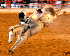 Rodeo Bare Back Riding &nbsp;|&nbsp; March, 2015