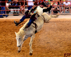Rodeo Bare Back Riding &nbsp;|&nbsp; March, 2015